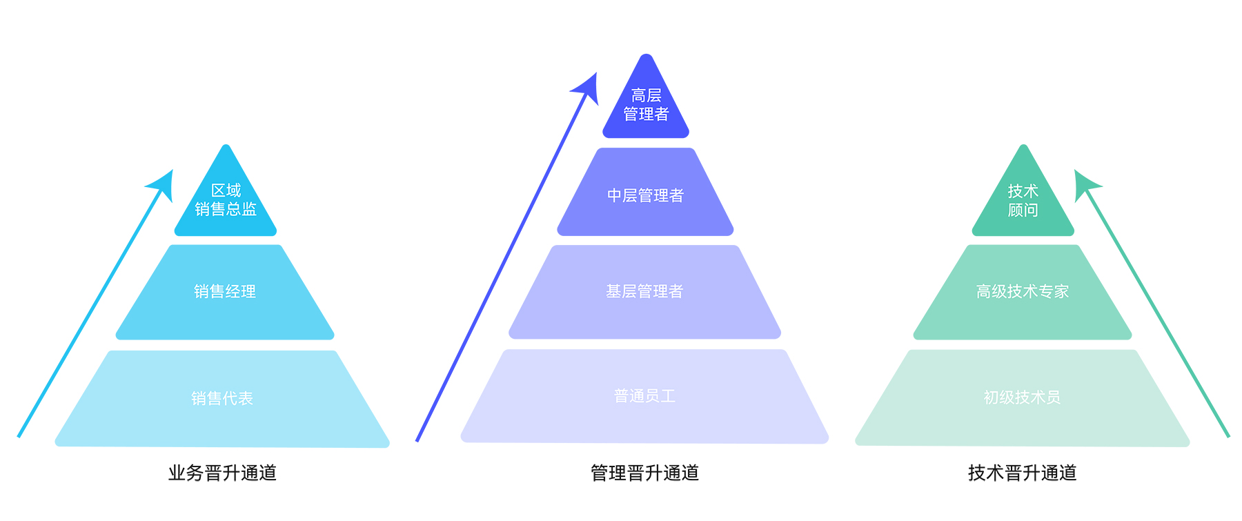 微信图片_20240621104806.jpg